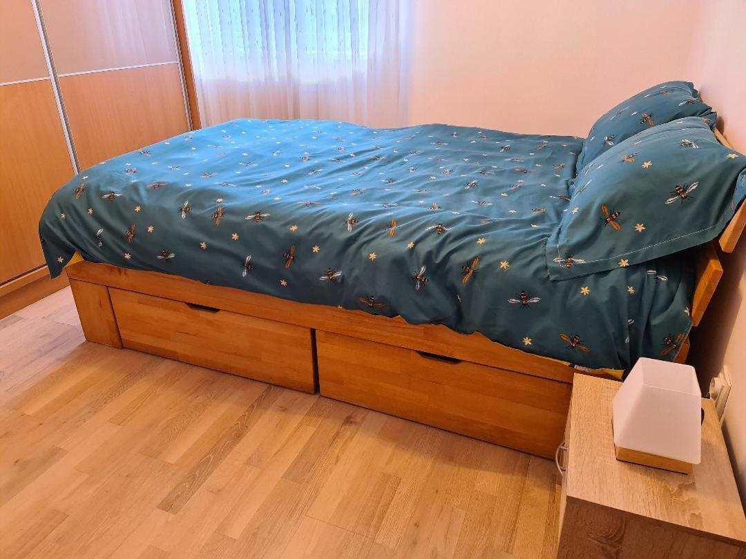 Central Cosy Apart Oradea Apartment Ngoại thất bức ảnh