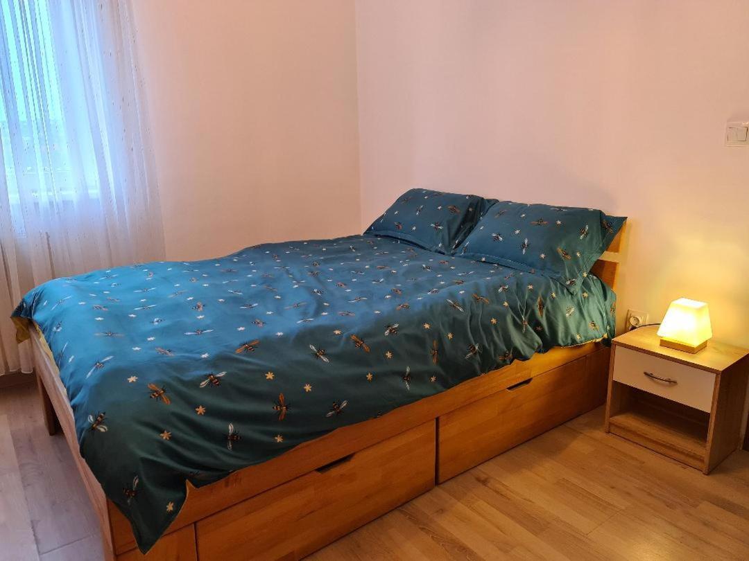 Central Cosy Apart Oradea Apartment Ngoại thất bức ảnh