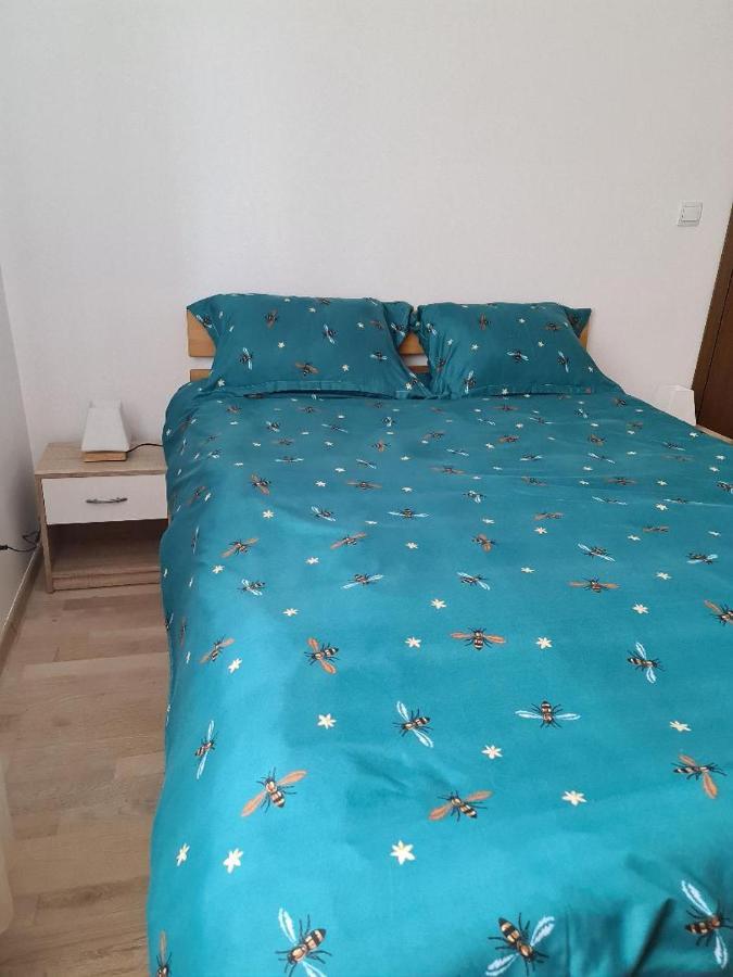 Central Cosy Apart Oradea Apartment Ngoại thất bức ảnh